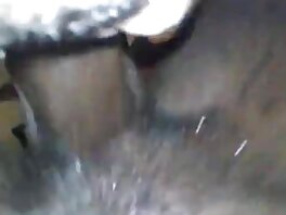 დედათა ბონონის ზონირება