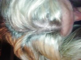 ყოვლისმომცველი Ass