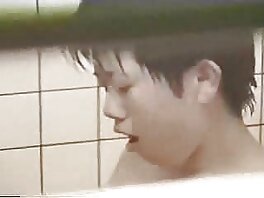 ანალური გამავრცელებლები